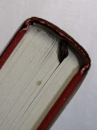 希少本　20世紀の芸術と生きる ペギー・グッゲンハイム自伝 20世紀の芸術と生きる : ペギー・グッゲンハイム自伝(ペギー