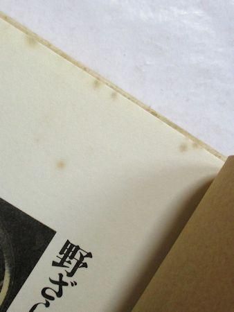 野ざらし百鬼行 赤江瀑 文藝春秋社 野ざらし百鬼行 赤江瀑 文藝春秋社