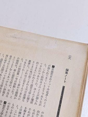 別冊 現代詩手帖 泉鏡花 妖美と幻想の魔術師 思潮社