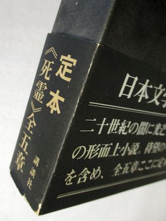 高質 埴谷雄高 死霊 Ⅰ、Ⅱ(1〜6章)7、8、9章 5冊セット 文学・小説 