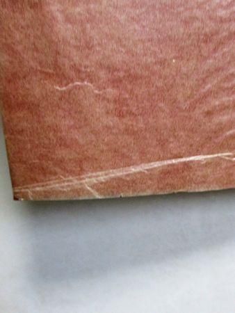 ドグラ・マグラの夢 覚醒する夢野久作 狩々博士 三一書房 ドグラ・マグラの夢 覚醒する夢野久作 狩々博士 三一書房