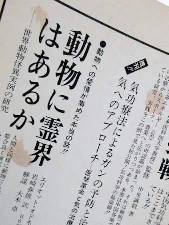 ユリイカ 1990年4月号 特集：バルガス・リョサ なぜ作家は大統領を