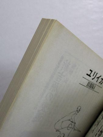 ユリイカ 1993年12月号 特集：ポスト・サイバーパンク／ほか 青土社