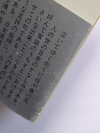 中村汀女・星野立子集 現代俳句の世界10 朝日文庫