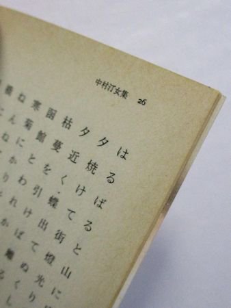 中村汀女・星野立子集 現代俳句の世界10 朝日文庫