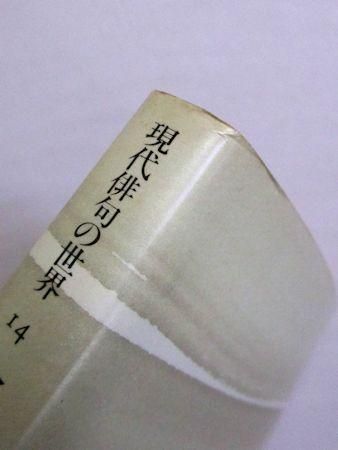 金子兜太・高柳重信集 現代俳句の世界14 朝日文庫