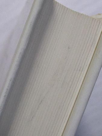 ダイアローグの思想―ミハイル・バフチンの可能性 (叢書・ウニベルシタス) ダイアローグの思想: ミハイル・バフチンの可能性 (叢書
