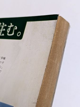 別冊新評 澁澤龍彦の世界 新評社