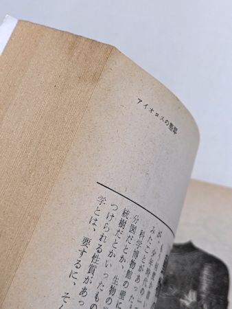 別冊新評 澁澤龍彦の世界 新評社