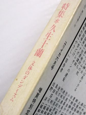 ユリイカ 1989年6月号 特集：久生十蘭 文体のダンディズム／ほか 青土社