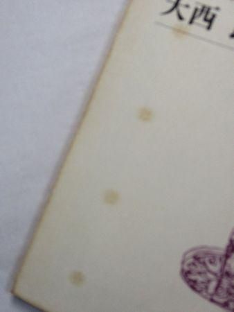 Amazon.co.jp: 大西民子歌集 (短歌研究文庫) : 大西民子: 本