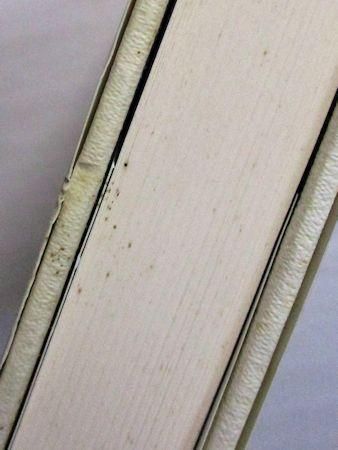 日本幻想文学集成 旧版全33巻揃 国書刊行会