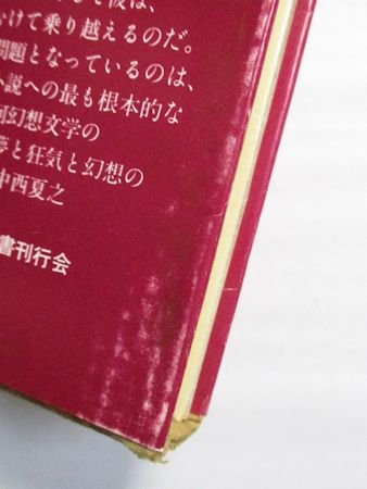 ラテンアメリカ文学叢書5 遊戯の終り J・コルタサル 訳：木村榮一 国書刊行会