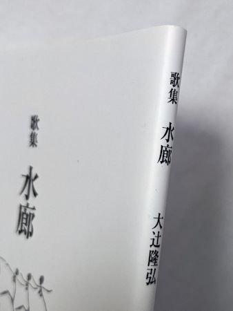 歌集 水廊/大辻隆弘/砂子屋書房 - 文学、小説