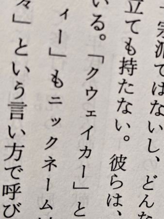 スーフィー 西欧と極東にかくされたイスラームの神秘 イドリース