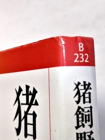 猪飼野詩集 金時鐘 岩波現代文庫
