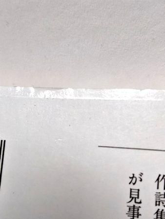 猪飼野詩集 金時鐘 岩波現代文庫