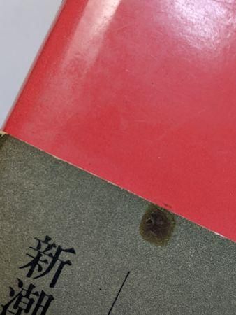 聖三角形 聖三角形 高橋睦郎 新潮社