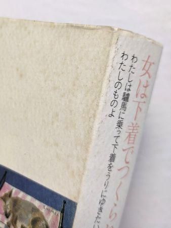 鴨居羊子コレクション 全3巻揃 国書刊行会