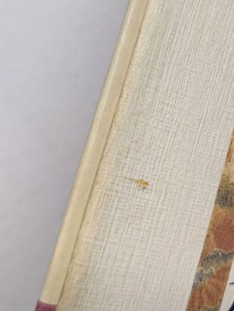 俳句礼賛 こころに残る名句 中村苑子 富士見書房