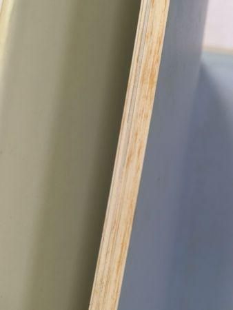 野中ユリ画集 妖精たちの森 文:澁澤龍彦 講談社 野中ユリ画集 妖精たちの森 文:澁澤龍彦 講談社