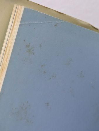 野中ユリ画集 妖精たちの森 文：澁澤龍彦 講談社