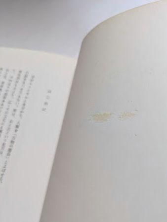 中森義宗（編）『絵画と文学　絵は詩のごとく』、中央大学出版部、1984年。 増補 美術における右と左 中森義宗、衛藤駿、永井信一 中央大学