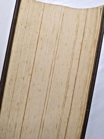 妖怪学 井上円了 山洞書院