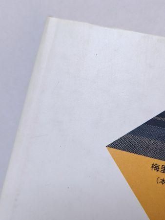 昭和俳句文学アルバム13 京極紀陽の世界 編著：成瀬正俊 梅里書房