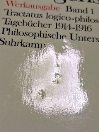独語】Ludwig Wittgenstein Werkausgabe（ルートヴィヒ・ヴィトゲン
