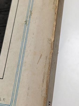 img04139-1-655add42c68cf.jpg?