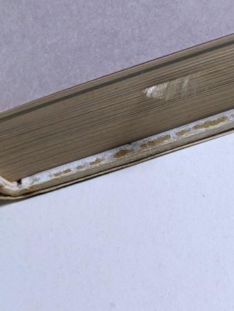楽天市場】マルセルデュシャンの通販