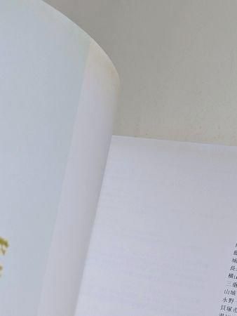 Amazon.co.jp: 別冊太陽 日本の布 原始布探訪 日本のこころ67 : 本