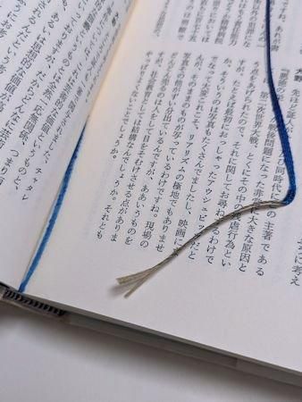 サド侯爵の生涯 新版 -澁澤龍彦 著｜中公文庫｜中央公論新社