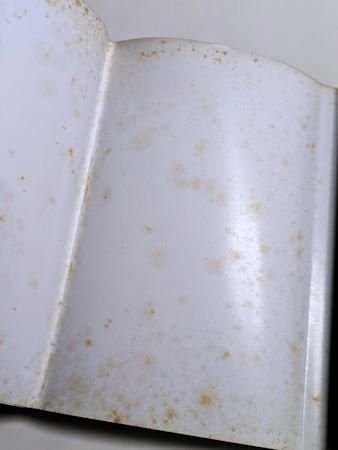 澁澤龍彦文学館8 世紀末の箱 筑摩書房