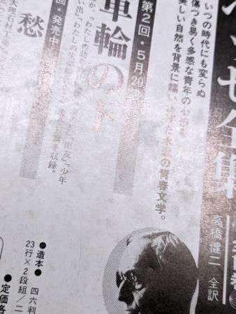 ユリイカ 1982年5月号 特集：シャンソン 聞かせて 愛の言葉を
