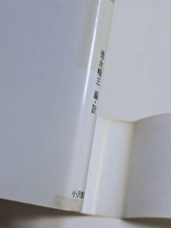 双書・20世紀の詩人 シルヴィア・プラス詩集 編訳:徳永暢三 双書・20世紀の詩人 シルヴィア・プラス詩集 編訳:徳永暢三