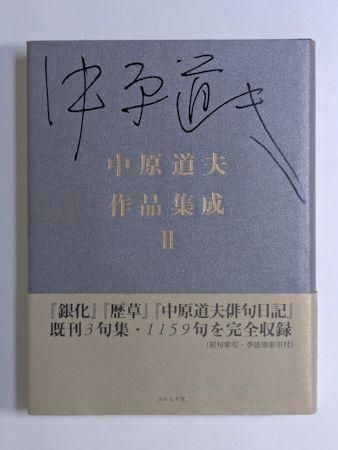 渶ƻ׺ʽIIդƲ