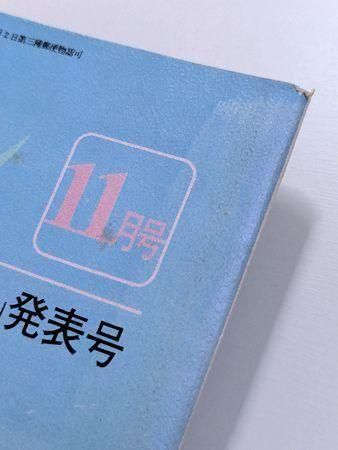 詩とメルヘン 1980年11月号 編：やなせたかし サンリオ出版