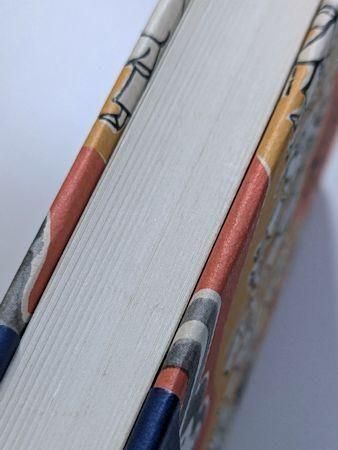 死ともののけ 斎藤たま 新宿書房