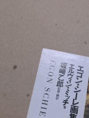 エゴン・シーレ画集　エルヴィン・ミッチ著　坂崎乙郎　監修翻訳 エゴン・シーレ画集 エルヴィン・ミッチ著 坂崎乙郎 監修翻訳
