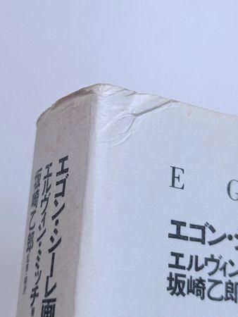 エゴン・シーレ画集 1890－1918 エルヴィン・ミッチ 訳・監修：坂崎