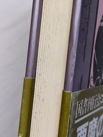 ゴシック叢書１９ 悪魔の骰子 ゴシック短篇集 ド・クィンシー、スコット他 国書刊行会