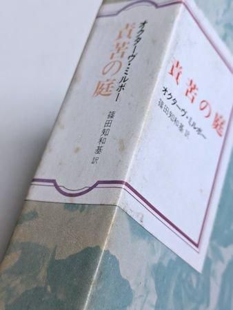 絶望者 (1984年) (フランス世紀末文学叢書〈10〉) | レオン