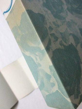 フランス世紀末文学叢書第13巻 詞華集 編訳：井上輝夫、小浜