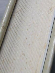 山の神 / ネリー・ナウマン 著、野村伸一 檜枝陽一郎 訳 | 歴史