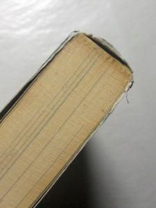 幻想世界の住人たちiv 日本編 多田克己 新紀元社 幻想世界の住人たちiv 日本編 多田克己 新紀元社