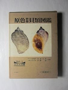 原色世界貝類図鑑 vol.Ｉ 北太平洋編 波部忠重、伊藤潔 保育社