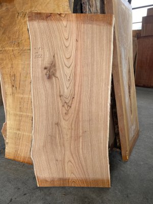 センダン（栴檀）一枚板 テーブル天板に最適 - 一枚板専門店「木の店木