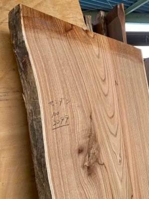センダン（栴檀）一枚板 テーブル天板に最適 - 一枚板専門店「木の店木